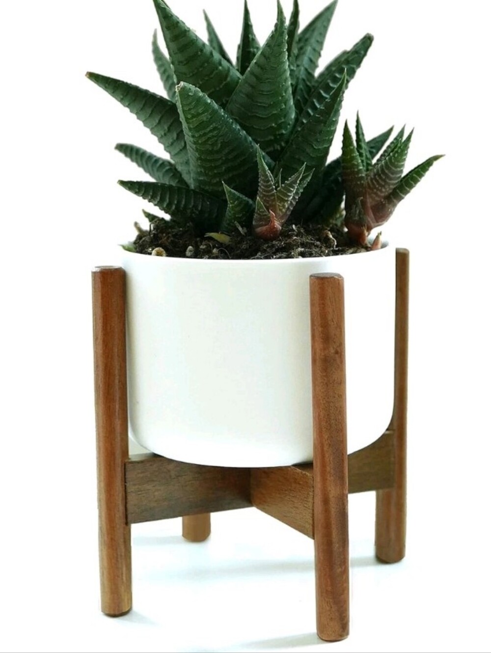 FOX & FERN Mid-Century Modern  Acacia mini-white  Wood Plant Stand NEW